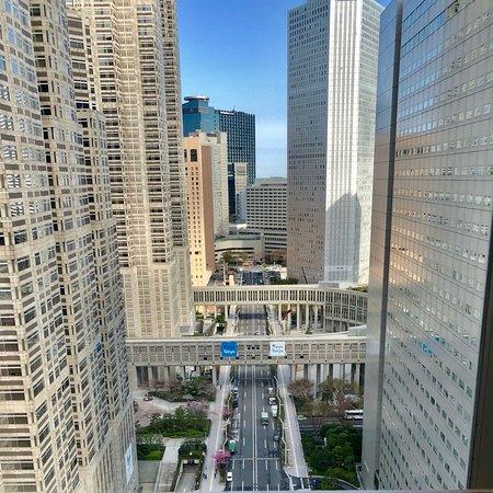 Japon Shinjuku Washington Hotel